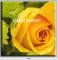 /album/photo-gallery-canvas-uri/decoratiuni-de-perete-canvas-lc-0893-jpg/